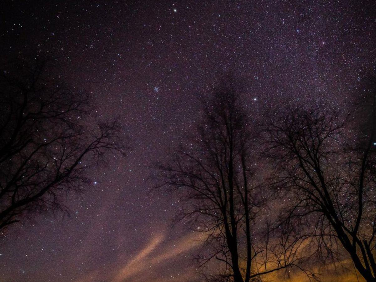 Night star-lit sky in Greenbrier County, WV.