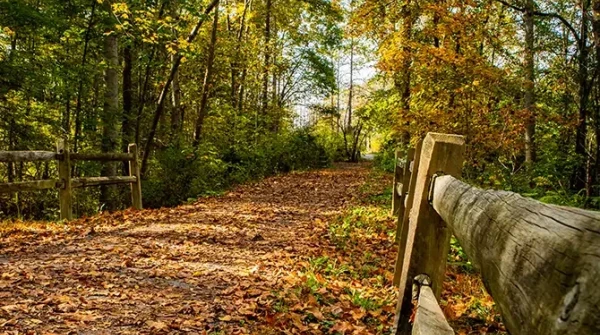 greenbrier river trail in fall