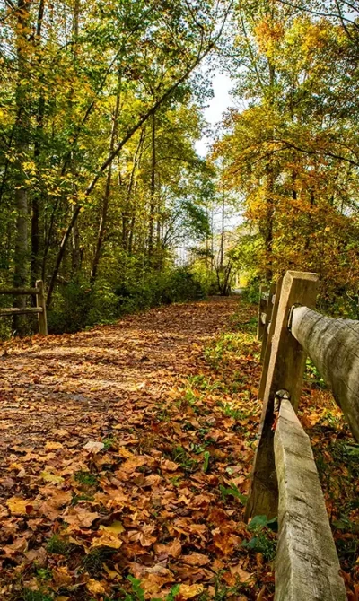 greenbrier river trail in fall