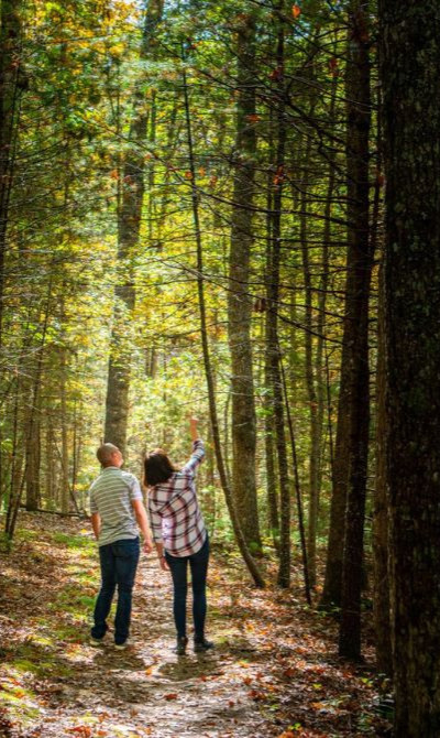 fall hiking in the greenbrier state forest