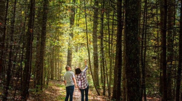 fall hiking in the greenbrier state forest